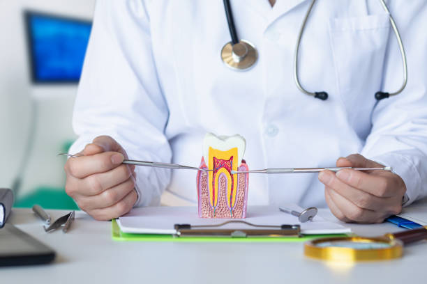 Best Emergency Orthodontic Repairs in Osceola, MO